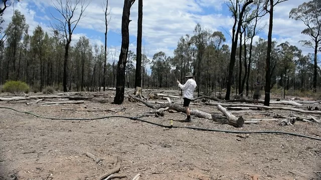 Photo by Byron Environment Centre (BEC) co-ordinator David Saunders