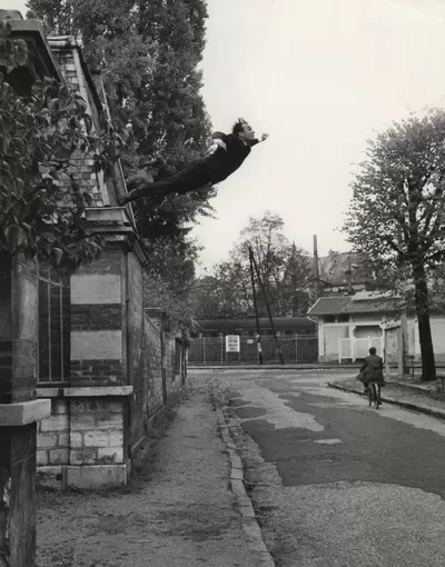 Yves Klein, Harry Shunk, and Jean Kender
Leap into the Void, 1960