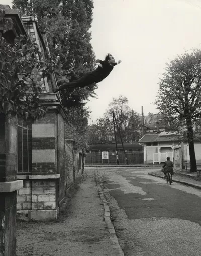 Leap into the Void 1960