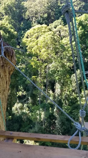 Day 8 - Lola's secure tree-sit platform