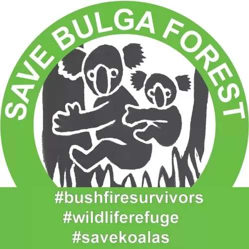 Save-Bulga-Forest-on-Biripi-Country-2429