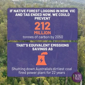 Native forest carbon emissions