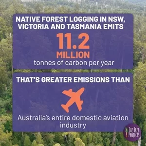 Native forest carbon emissions