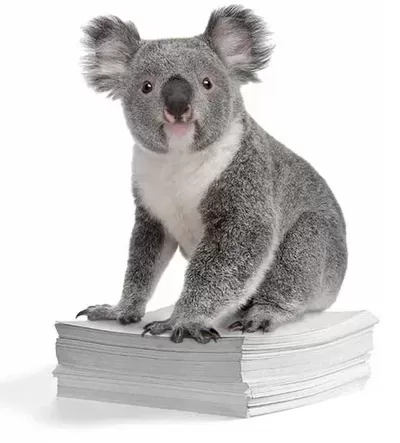 Koala plan