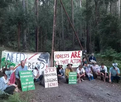 Lorne Forest protest