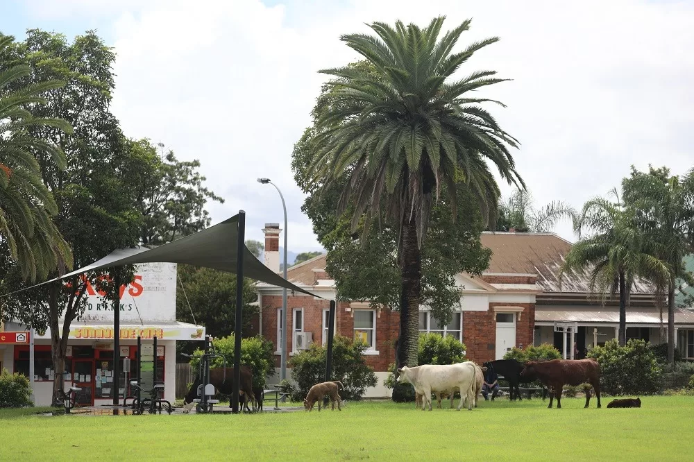 Wingham CBD flood, March 20 2021