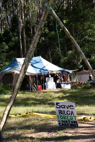 Save Bulga Forest