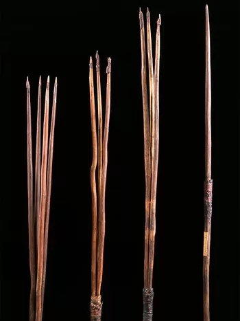 Four Australian Aboriginal spears – cared for by Cambridge’s Museum of Archaeology and Anthropology – are to be repatriated after Trinity College agreed to permanently return them to the country.