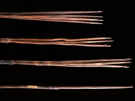 Four Australian Aboriginal spears – cared for by Cambridge’s Museum of Archaeology and Anthropology – are to be repatriated after Trinity College agreed to permanently return them to the country.