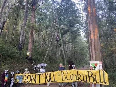 dont kill blinky bill forest protest