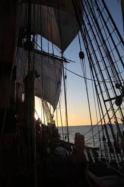 HMB Endeavour © 2019 Mark Anning photo