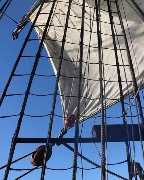 HMB Endeavour under sail © 2019 Mark Anning photo. All Rights Reserved.