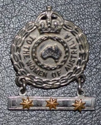 Turner brother badge