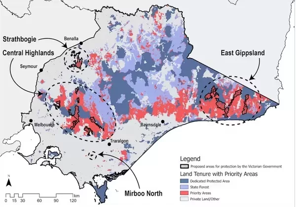 Here you can see the Immediate Protection Areas (hatched areas) compared to the areas which we actually need to be protected (red), across the forests of eastern Victoria. Chris Taylor, Author provided