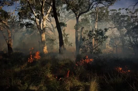 First Nations involvement could see a return of cultural fire practices. Taungurung Land and Waters Council, Author provided