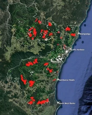 Map of logging within Great Koala National Park