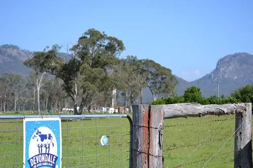 Gloucester diary cattle farm with gas well