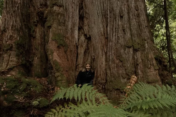 US Ambassador, Ms Caroline Kennedy, visited the Huon Valley’s Grove of Giants