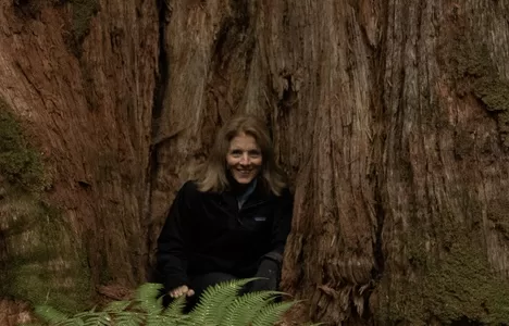 US Ambassador, Ms Caroline Kennedy, visited the Huon Valley’s Grove of Giants