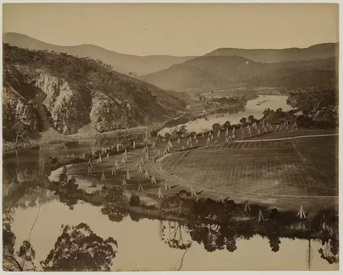 This photograph frames a harmonic interaction of settlement, agriculture and geography on the lowlands along the Derwent River. John Beattie, Hop Garden, New Norfolk, 1895–1898. Albumen print. Art Gallery of New South Wales