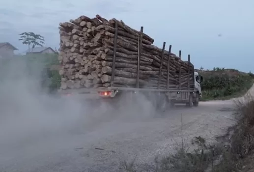 Logging truck