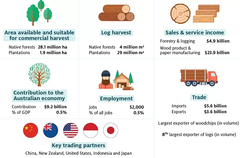 Native timber logging uses