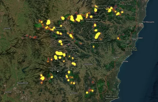 Greater Glider heat map, Port Macquarie to Myall Lakes