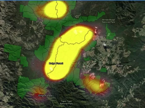 Greater Glider heat map, Bulga Forest