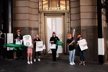 Protesting Hermes crocodile farms in Australia