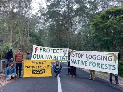 Forestry Corporation headquarters at Pennant Hills blockaded