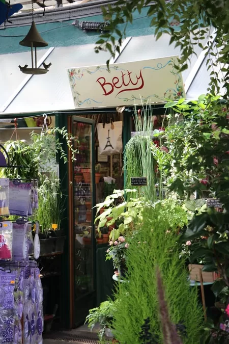 Paris Flower market © Mark Anning photo 2022