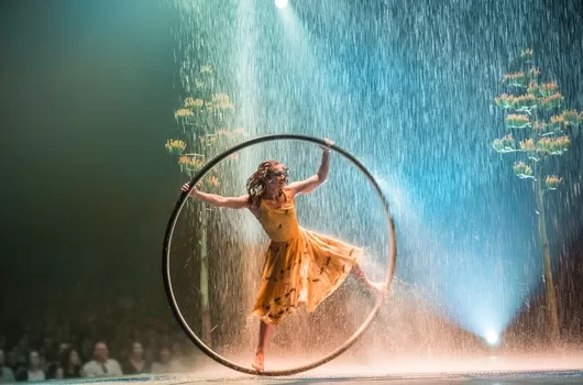 Cirque du Soleil photograph by Matt Beard