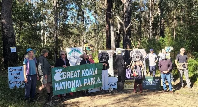 Logging protests at Sheas Nob State Forest