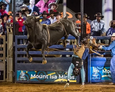 Indigenous rider Travis Koolatah thrown during an Open Bull Ride rodeo event