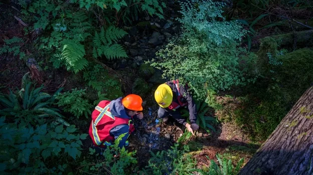 Ha-ma-yas Guardians conduct a forest survey. (Photo: Na̲nwak̲olas Council)