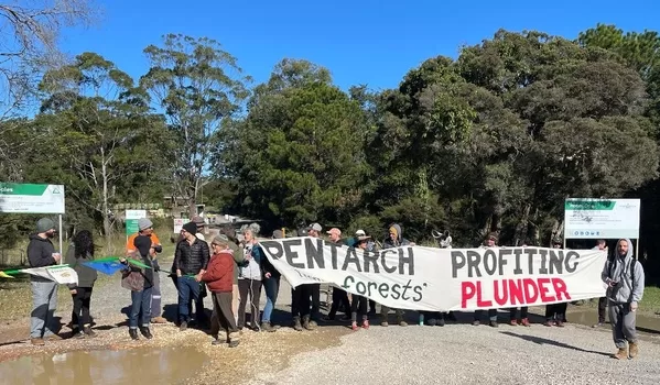 Pentarch Sawmill protest, June 2024