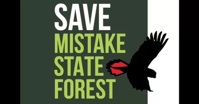 Save Mistake Forest