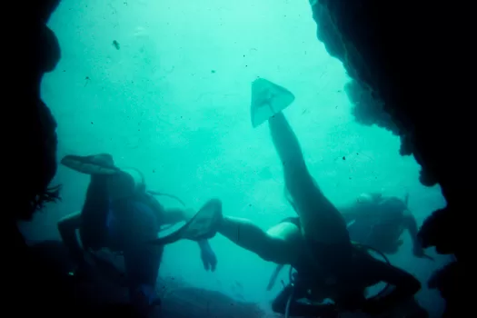 SCUBA diving Fiji underwater © Mark Anning photo