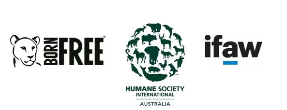 Humane Society International (HSI) Australia, the International Fund for Animal Welfare (IFAW), and the Born Free Foundation