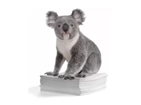 Koala Plan