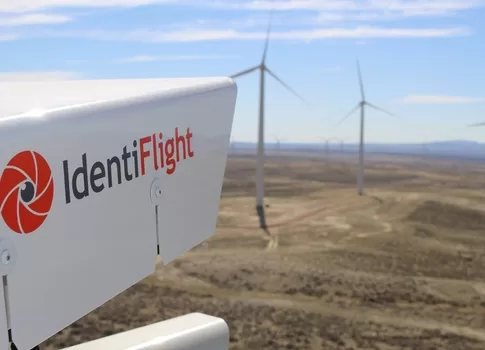 IdentiFlight® Bird detection System, Cattle Hill Wind Farm