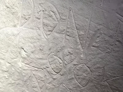 Koonalda Cave art vandalism