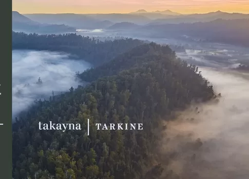 Book cover showing The Tarkine region in Tasmania in mist