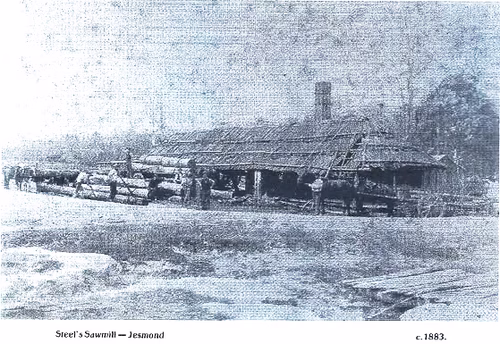 Jesmond Saw Mill 1883 - 1EarthMedia Jesmond Timber Mill, 1883