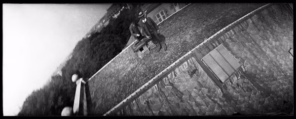 Pigeon Camera - 1EarthMedia Pigeon aerial photography